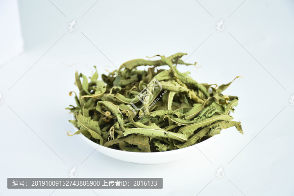 馬鞭草