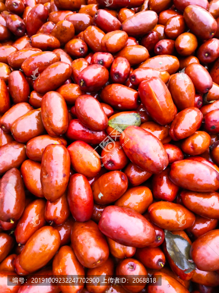 大紅棗