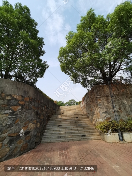 校園風(fēng)景