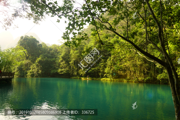 荔波小七孔臥龍?zhí)肚嗌骄G水美景