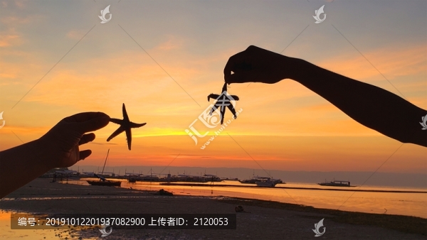 夕陽下的海星