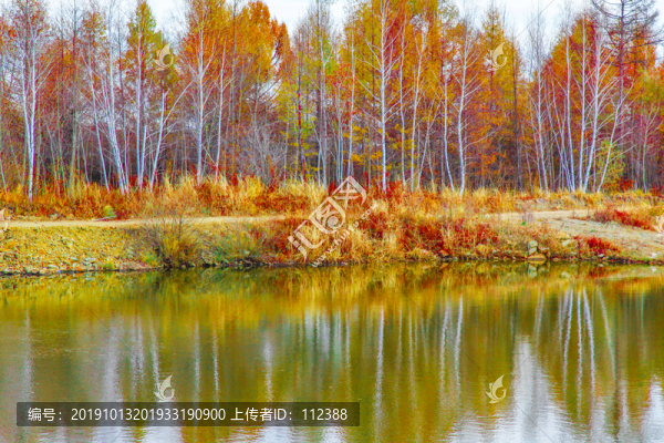 油畫樹林倒影藍(lán)天白云風(fēng)景