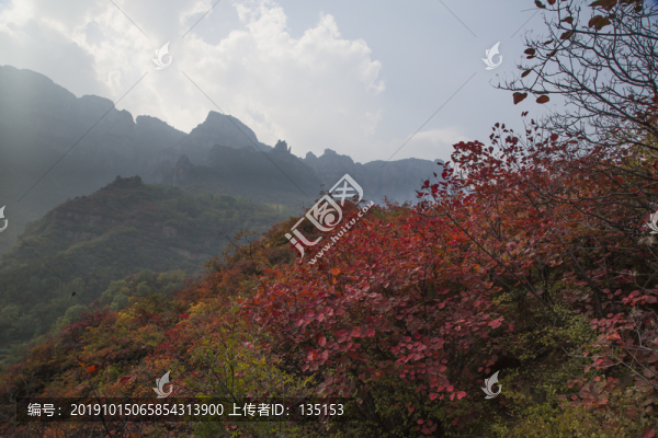 太行秋天紅葉