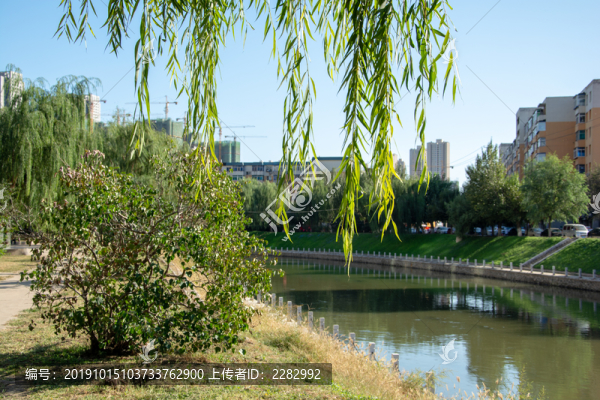 城市公園