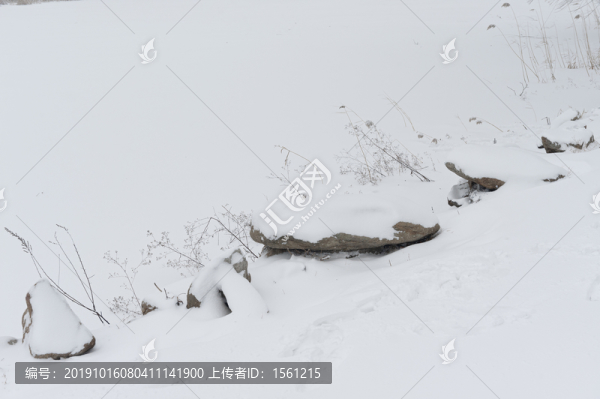雪地