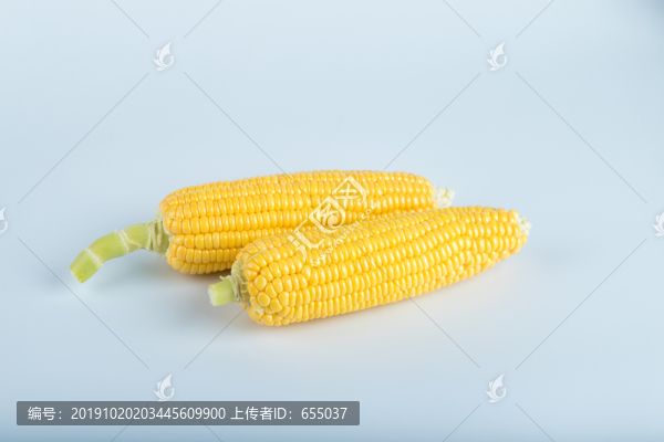 玉米
