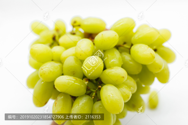綠葡萄