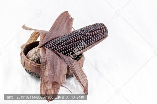 非轉(zhuǎn)基因黑糯玉米
