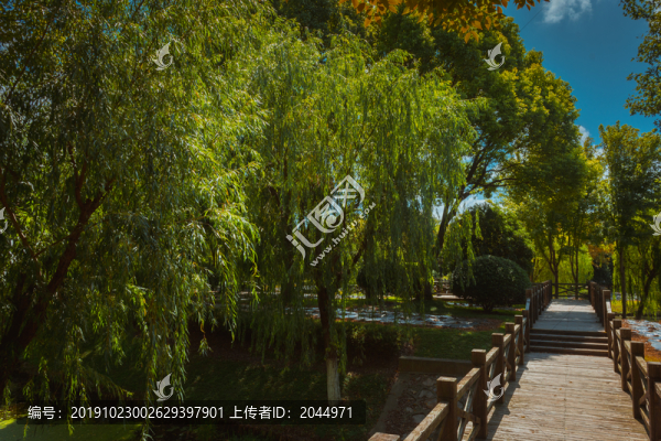 上海鮮花港