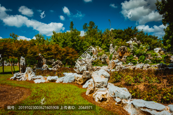 樹林假山