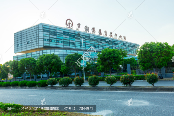 蘆潮港臨港集裝箱中心