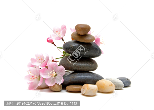 海棠花和鵝卵石