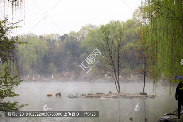 北大校園風(fēng)光未名湖垂柳薄霧