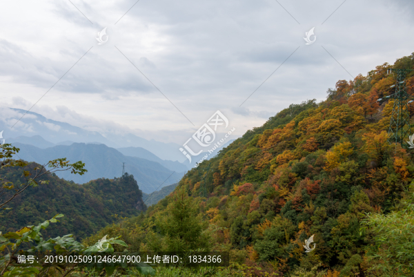 神農(nóng)架風(fēng)光