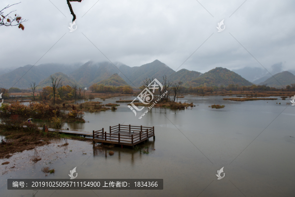 大九湖濕地公園