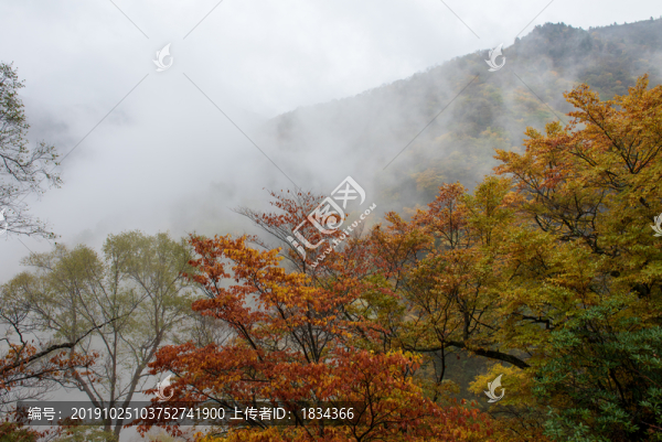 神農(nóng)架秋景