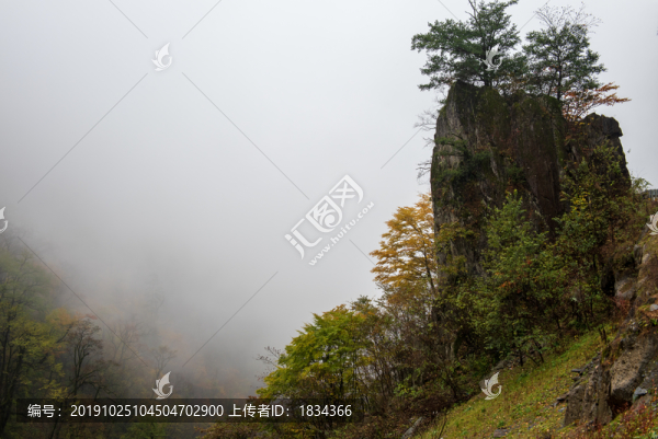 神農(nóng)架秋景