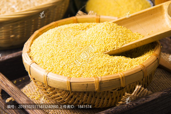 小黃米