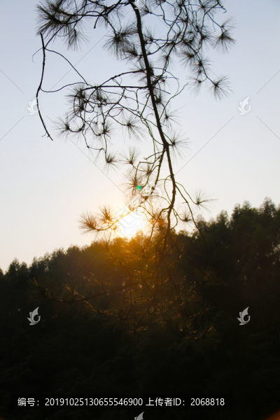 夕陽