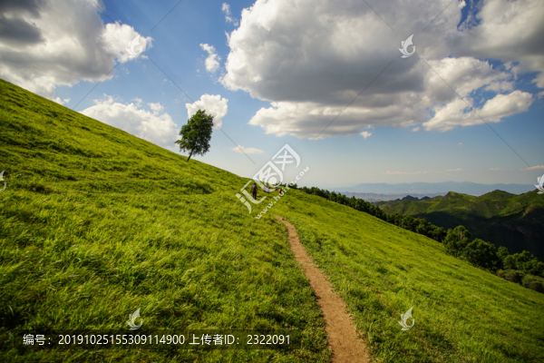 山坡藍天白云草地