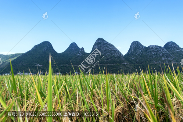 萬(wàn)峰林