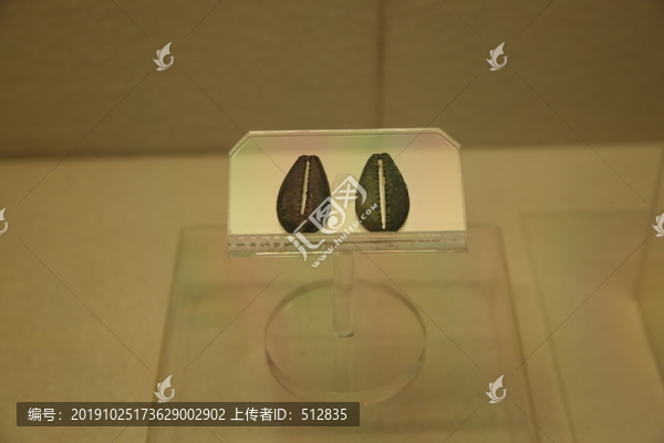 銅貝