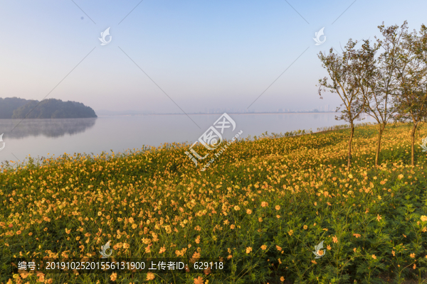 湖濱綠化