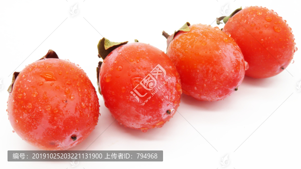 小柿子