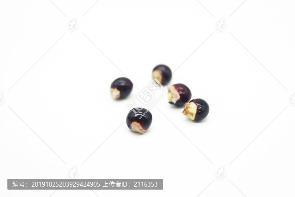 龍眼核