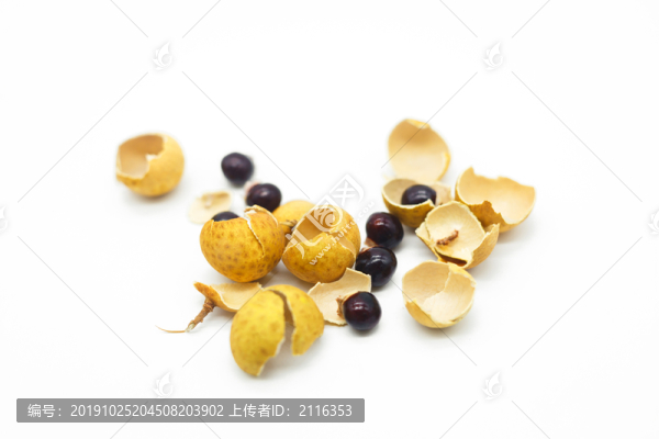 龍眼皮龍眼核