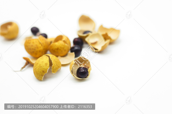 龍眼皮龍眼核