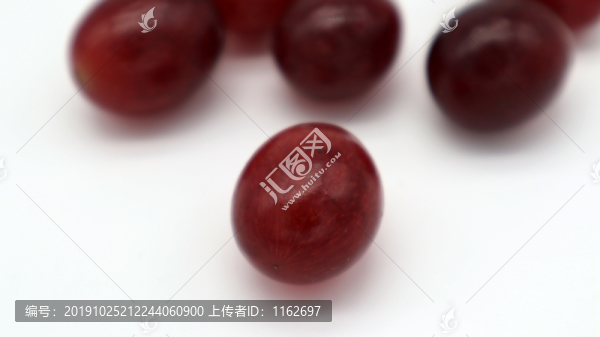 紫葡萄