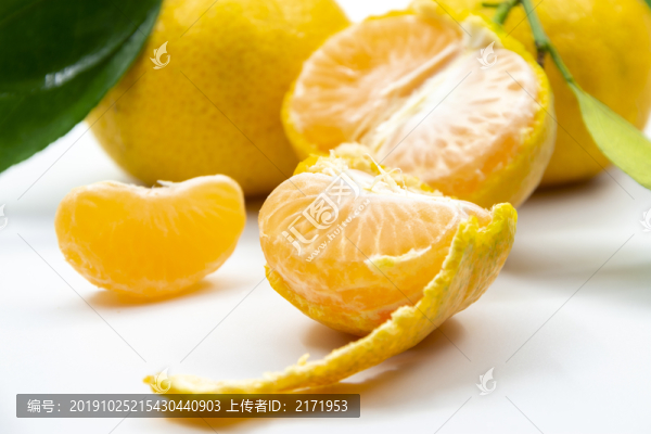 柑橘