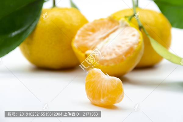 蜜桔