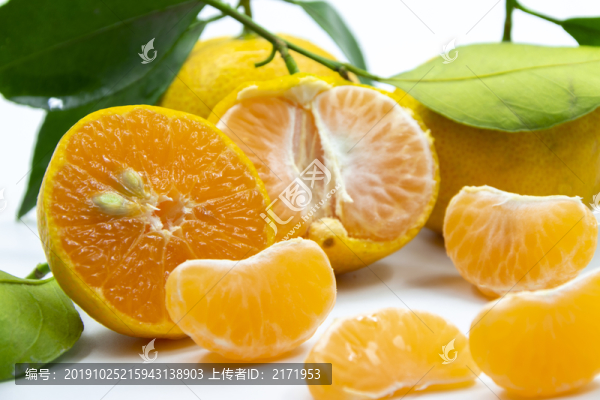 蜜桔