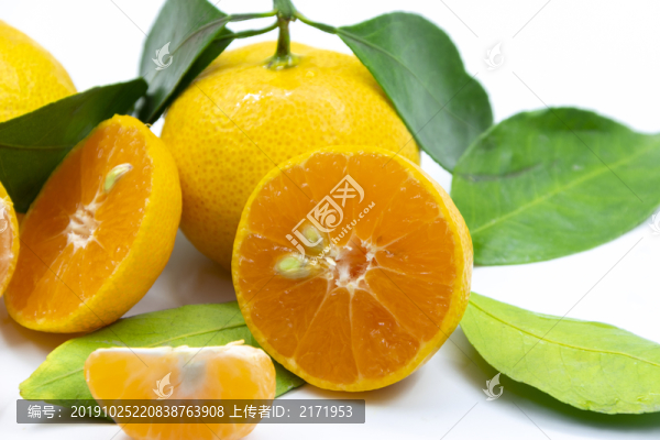 砂糖橘