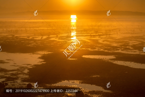 最美不過夕陽紅