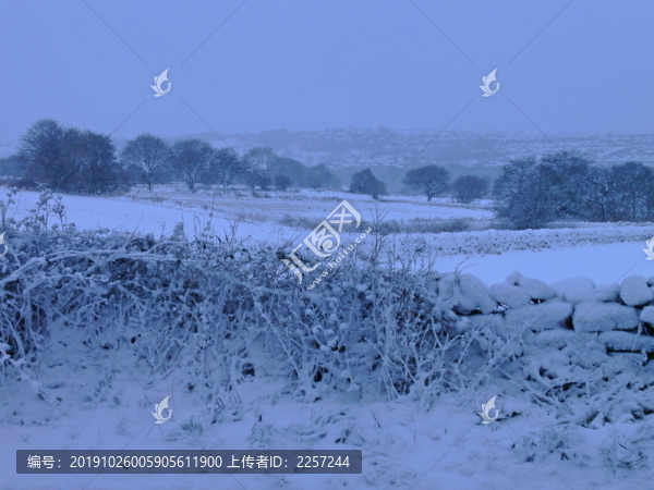 冰天雪地