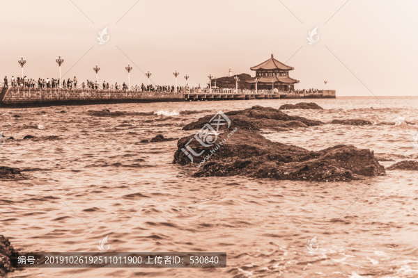 老青島