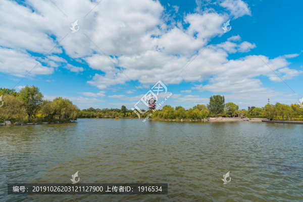 濕地公園