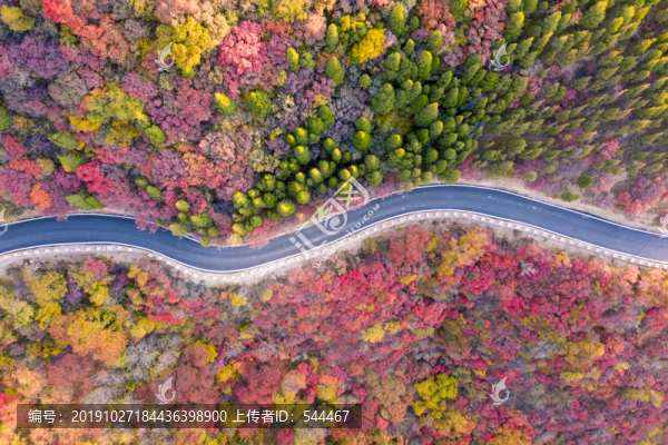 紅葉公路