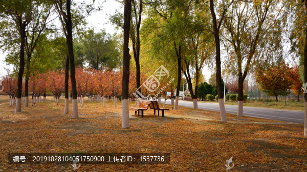 沈陽渾河西峽峪公園