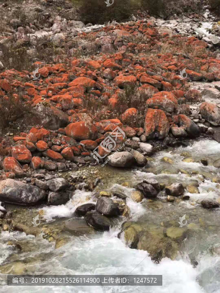 海螺溝景色