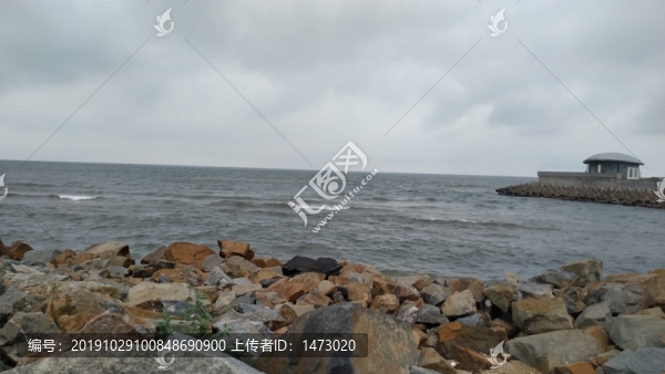大海