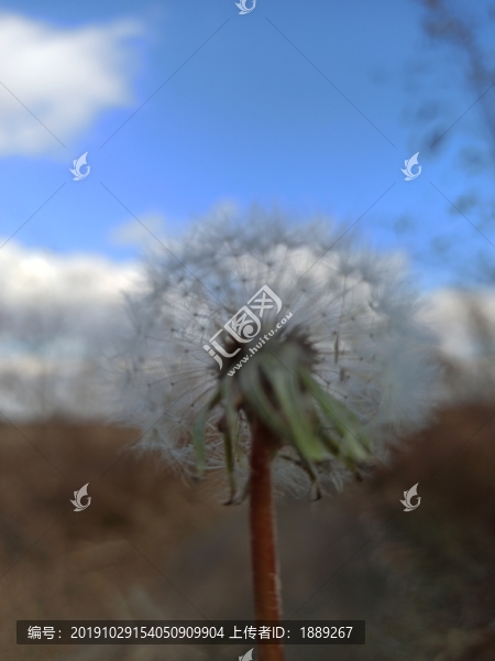 藍天白云