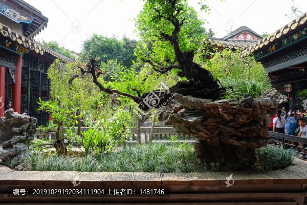 園林景觀