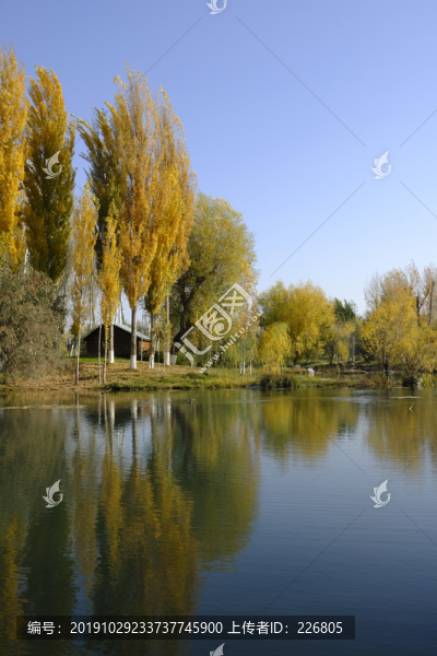 濕地公園