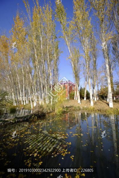 濕地公園