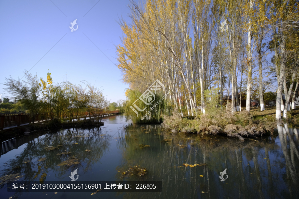 濕地公園