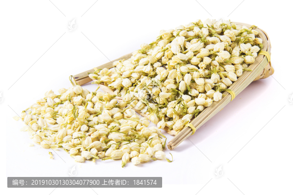 茉莉花
